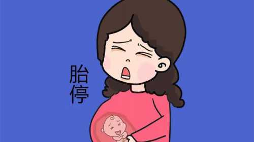 广州试管代孕成功率高吗|为何俄罗斯供卵试管婴儿成功率高?看完这3点不得不服