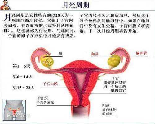 <b>广州靠谱代生医院,泰国试管婴儿养囊需要具备哪些条件？-杭州供卵私立医院有</b>
